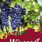 Tytuł: Winorośl. Biologia-odmiany-uprawa.
Autor: Jerzy Lisek
Wydawnictwo: Viridia AB Sp z o.o.
Formaty: PDF