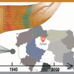 Tytuł: Wizualizacja informacji w humanistyce
Autor: 
Wydawnictwo: Wydawnictwo Naukowe UMK
Formaty: PDF