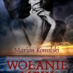 Wołanie mew — okładka e-booka