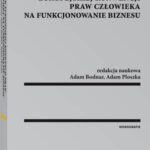 Wpływ Europejskiej Konwencji Praw Człowieka na funkcjonowanie biznesu — okładka e-booka