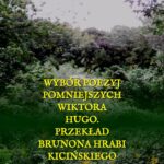 Tytuł: Wybór poezyj pomniejszych Wiktora Hugo
Autor: Wiktor Hugo
Wydawnictwo: Armoryka
Formaty: MOBI, EPUB