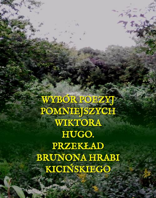 Tytuł: Wybór poezyj pomniejszych Wiktora Hugo
Autor: Wiktor Hugo
Wydawnictwo: Armoryka
Formaty: MOBI, EPUB