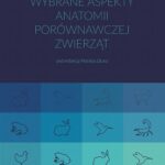 Tytuł: Wybrane aspekty anatomii porównawczej zwierząt
Autor: 
Wydawnictwo: Wydawnictwo Naukowe UMK
Formaty: PDF