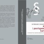 Wybrane zagadnienia prawa i postępowania karnego z perspektywy bezpieczeństwa publicznego — okładka e-booka