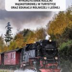 Tytuł: Wykorzystania kolejki wąskotorowej w turystyce oraz edukacji rolniczej i leśnej
Autor: Monika Jaroszuk-Sierocińska
Wydawnictwo: Spatium
Formaty: PDF