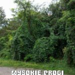 Tytuł: Wysokie Progi
Autor: Tadeusz Dołęga-Mostowicz
Wydawnictwo: Armoryka
Formaty: EPUB, MOBI