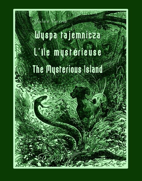 Tytuł: Wyspa tajemnicza
Autor: Jules Verne
Wydawnictwo: Armoryka
Formaty: MOBI, EPUB