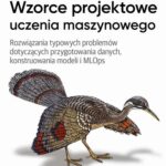Tytuł: Wzorce projektowe uczenia maszynowego
Autor: Valliappa Lakshmanan, Sara Robinson, Michael Munn
Wydawnictwo: Promise
Formaty: PDF