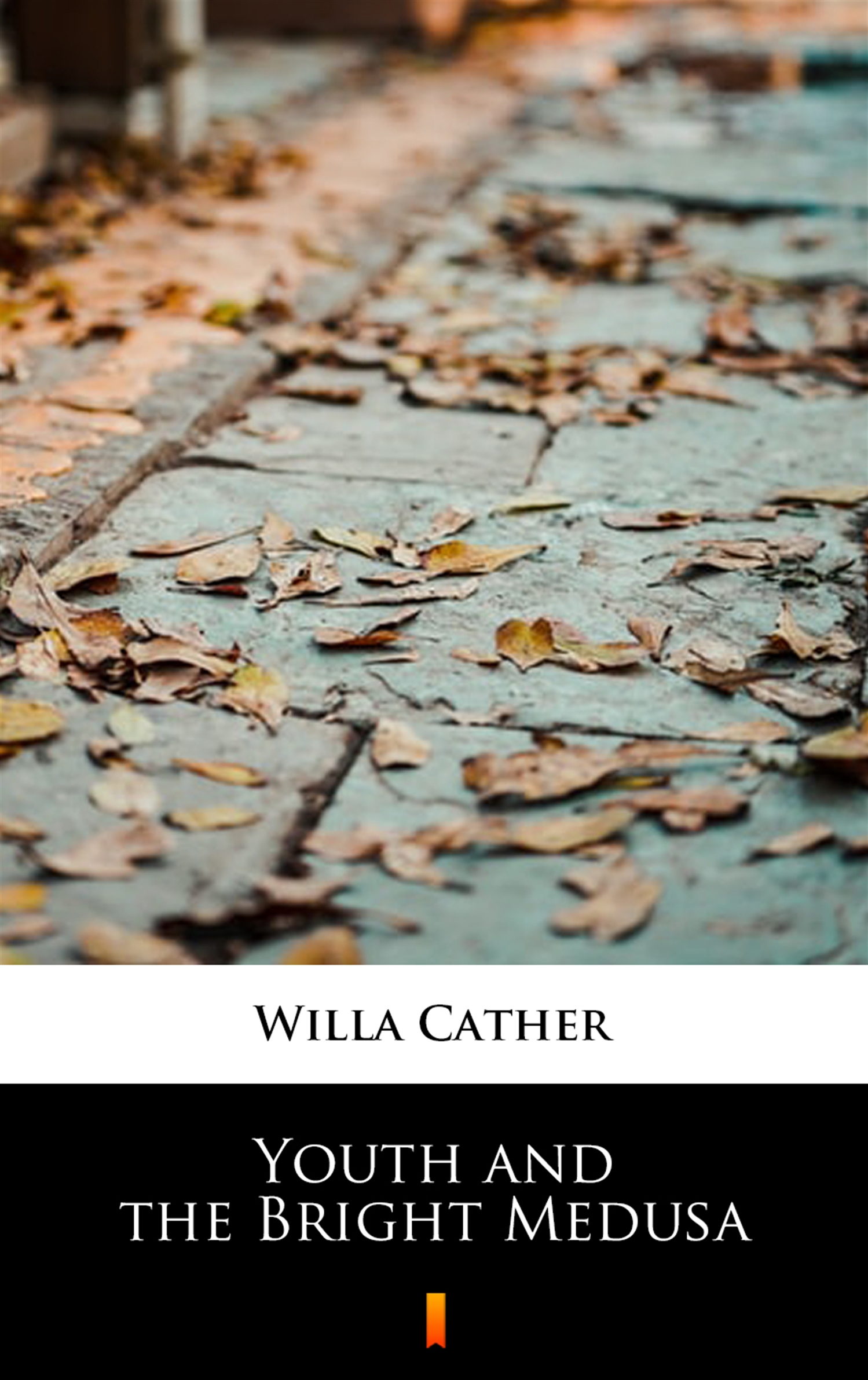 Tytuł: Youth and the Bright Medusa
Autor: Willa Cather
Wydawnictwo: KtoCzyta.pl
Formaty: EPUB, MOBI
