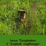 Tytuł: Z „Zapisek myśliwego”
Autor: Iwan Turgieniew
Wydawnictwo: Armoryka
Formaty: MOBI, EPUB