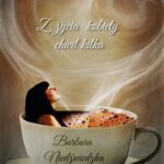 Z życia kobiety chwil kilka — okładka e-booka