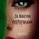 Za białymi goździkami — okładka e-booka