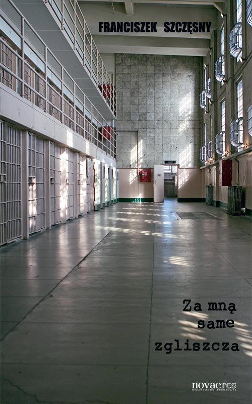 Za mną same zgliszcza — okładka e-booka