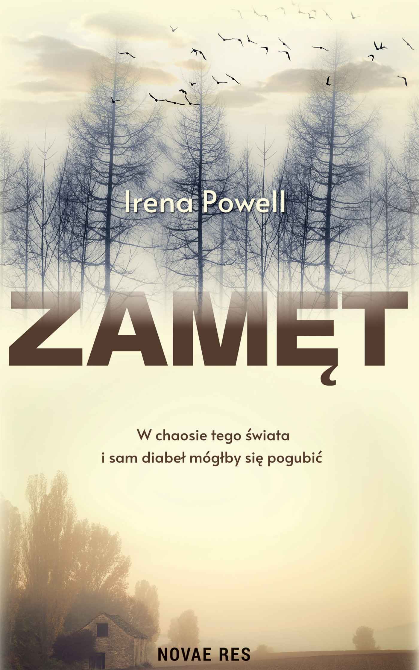 Tytuł: Zamęt
Autor: Irena Powell
Wydawnictwo: Novae Res
Formaty: EPUB