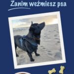 Zanim weźmiesz psa — okładka e-booka