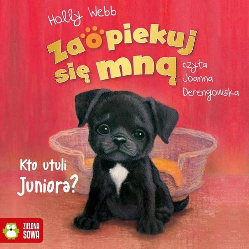Tytuł: Zaopiekuj się mną. Kto utuli Juniora?
Autor: Holly Webb
Wydawnictwo: Zielona Sowa
Formaty: MP3