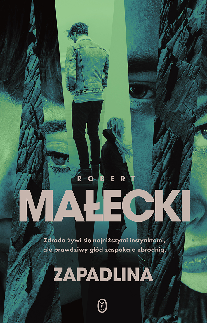 Tytuł: Zapadlina
Autor: Robert Małecki
Wydawnictwo: Wydawnictwo Literackie
Formaty: EPUB, MOBI