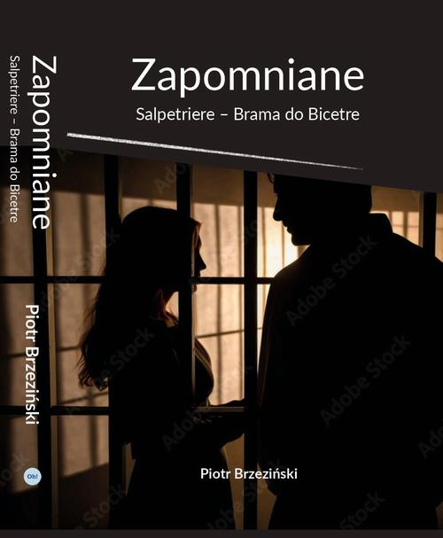Tytuł: Zapomniane
Autor: Piotr Brzeziński
Wydawnictwo: Our Dermatology Online
Formaty: EPUB