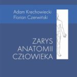 Zarys anatomii człowieka — okładka e-booka