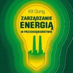 Tytuł: Zarządzanie energią w przedsiębiorstwie
Autor: Kit Oung
Wydawnictwo: Wydawnictwo Naukowe PWN
Formaty: EPUB, MOBI
