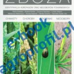 Tytuł: Zboża - chwasty, choroby, szkodniki, niedobory
Autor: Witold Grzebisz, Bożena Kardan, Zuzanna Sawinska, Łukasz Sobiech, Aleksandra Wieremczuk, Andrzej Najewski, Monika Grzanka, Stanisław Świtek, Daria Antkowiak, Jagoda Strzelińska, Agnieszka Zawieja
Wydawnictwo: Agro Wydawnictwo
Formaty: PDF
