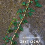 Zbyt cicha namiętność — okładka e-booka