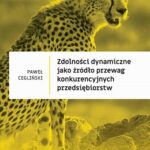 Tytuł: Zdolności dynamiczne jako źródło przewag konkurencyjnych przedsiębiorstw
Autor: Paweł Cegliński
Wydawnictwo: Wydawnictwo Naukowe UMK
Formaty: PDF