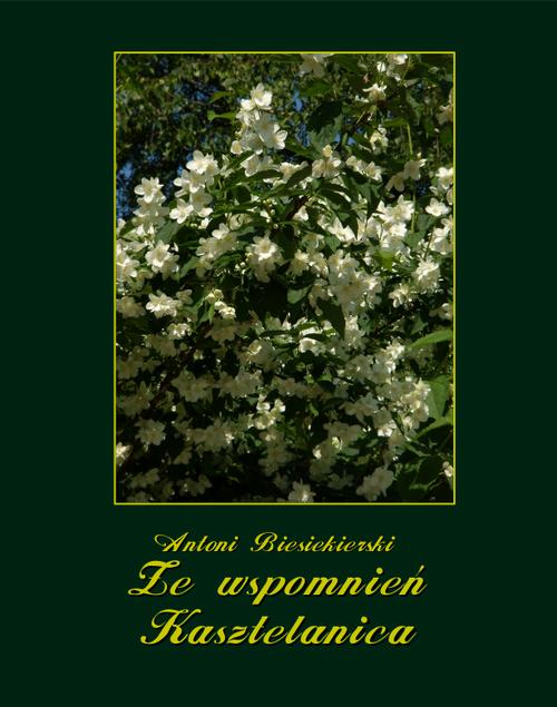 Tytuł: Ze wspomnień Kasztelanica
Autor: Antoni Biesiekierski
Wydawnictwo: Armoryka
Formaty: MOBI, EPUB