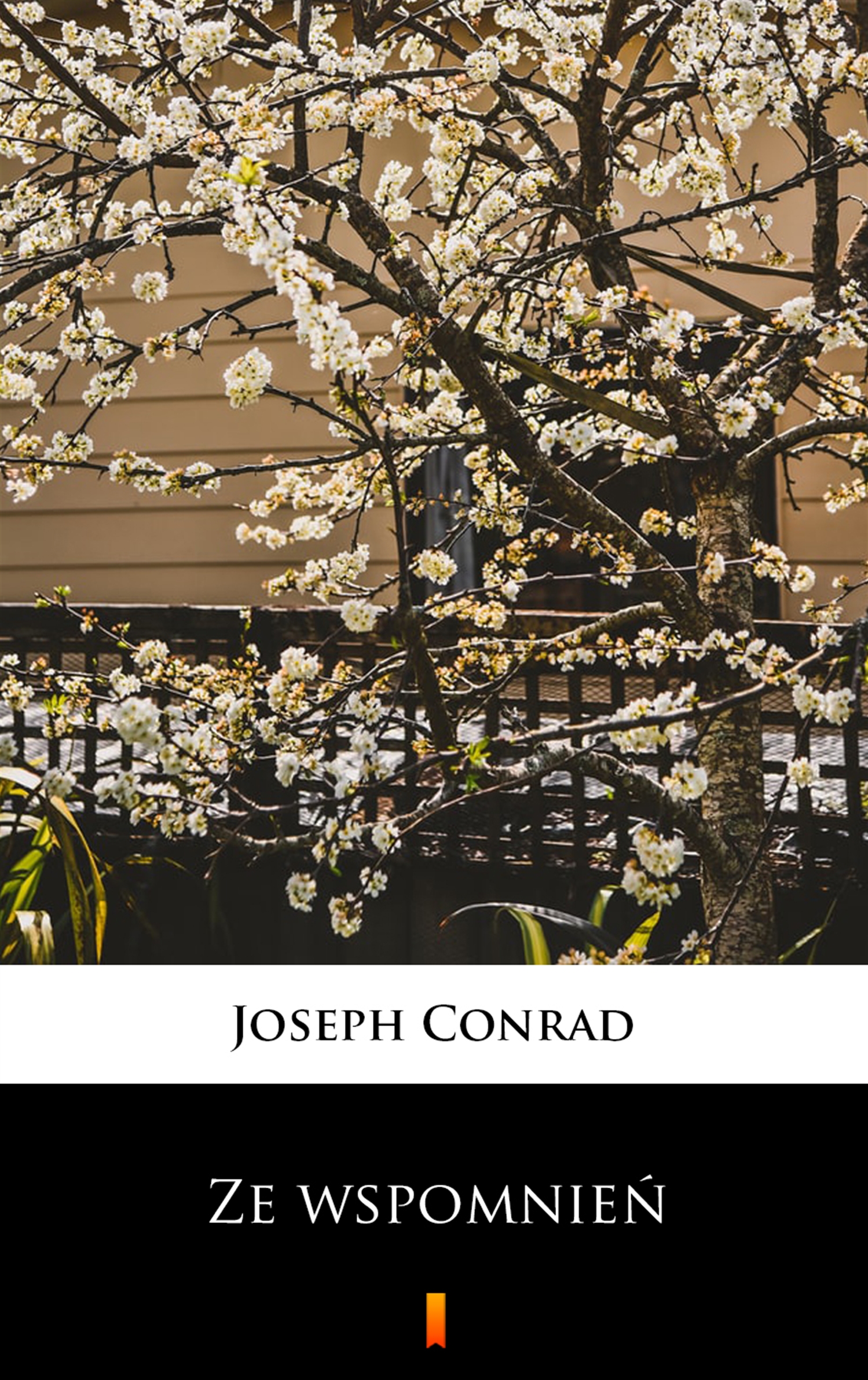 Tytuł: Ze wspomnień
Autor: Joseph Conrad
Wydawnictwo: KtoCzyta.pl
Formaty: EPUB, MOBI
