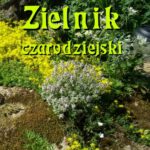 Tytuł: Zielnik czarodziejski to jest zbiór przesądów o roślinach
Autor: Józef Rostafiński
Wydawnictwo: Armoryka
Formaty: PDF