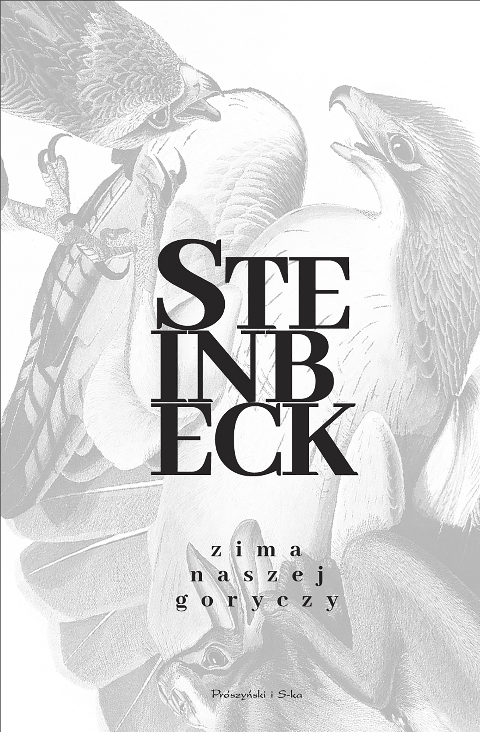 Zima Naszej Goryczy — okładka e-booka