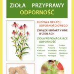 Zioła, przyprawy – odporność — okładka e-booka