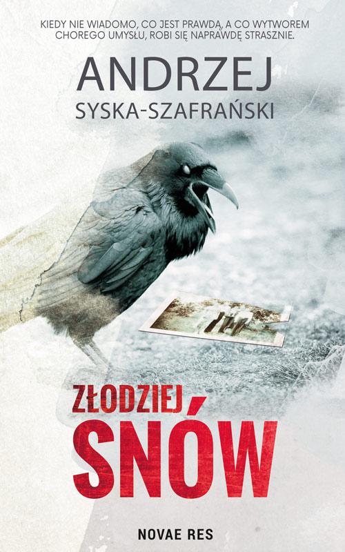 Złodziej snów — okładka