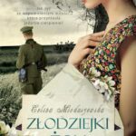 Złodziejki żon — okładka e-booka