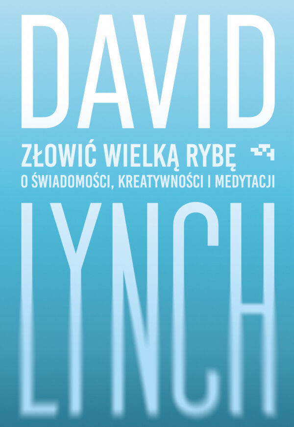Złowić wielką rybę. O świadomości, kreatywności i medytacji — okładka