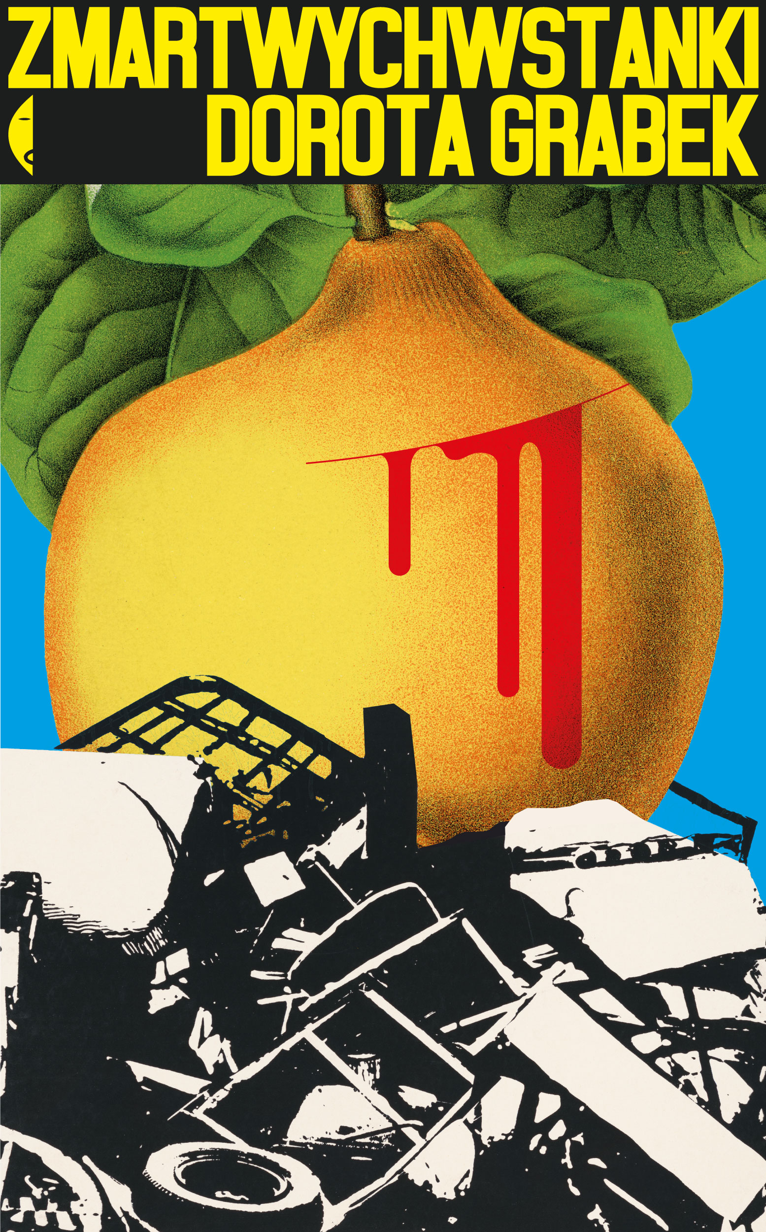 Tytuł: Zmartwychwstanki
Autor: Dorota Grabek
Wydawnictwo: Wydawnictwo Czarne
Formaty: EPUB, MOBI
