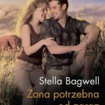 Żona potrzebna od zaraz — okładka e-booka