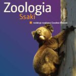 Tytuł: Zoologia t. 3, cz. 3. Ssaki
Autor: Czesław Błaszak
Wydawnictwo: Wydawnictwo Naukowe PWN
Formaty: EPUB, MOBI