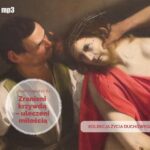 Tytuł: Zranieni krzywdą – uleczeni miłością
Autor: Józef Augustyn
Wydawnictwo: WAM
Formaty: MP3