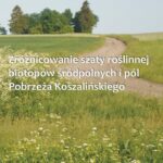 Zróżnicowanie szaty roślinnej biotopów śródpolnych i pól Pobrzeża Koszalińskiego — okładka e-booka