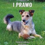 Tytuł: Zwierzęta i prawo
Autor: 
Wydawnictwo: Wydawnictwo Uniwersytetu Kazimierza Wielkiego w Bydgoszczy
Formaty: PDF