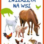 Tytuł: Zwierzęta na wsi
Autor: Beata Guzowska
Wydawnictwo: Literat
Formaty: PDF