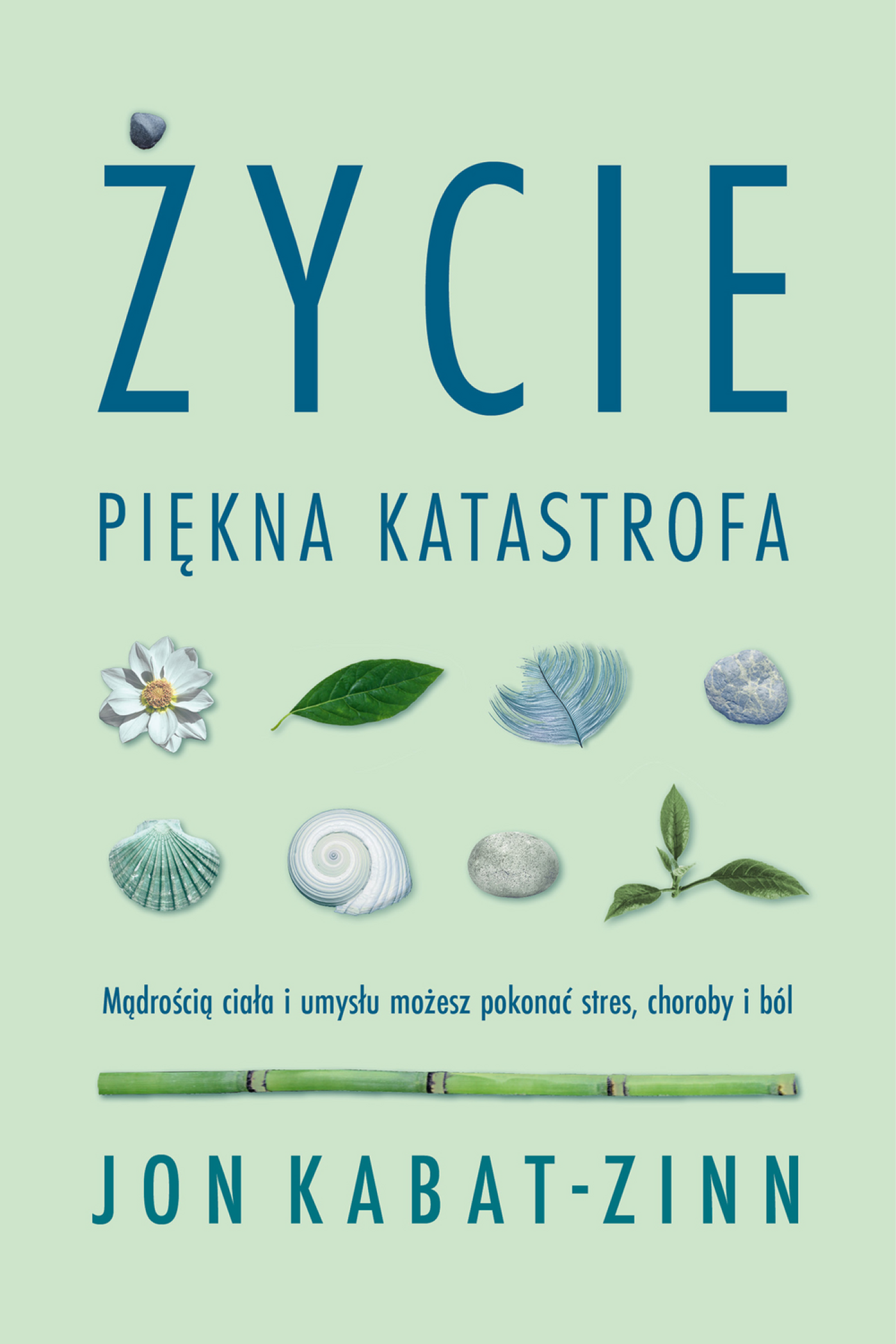 Tytuł: Życie, piękna katastrofa. Mądrością ciała i umysłu możesz pokonać stres, choroby i ból
Autor: Jon Kabat-Zinn
Wydawnictwo: Wydawnictwo Czarna Owca
Formaty: EPUB, MOBI