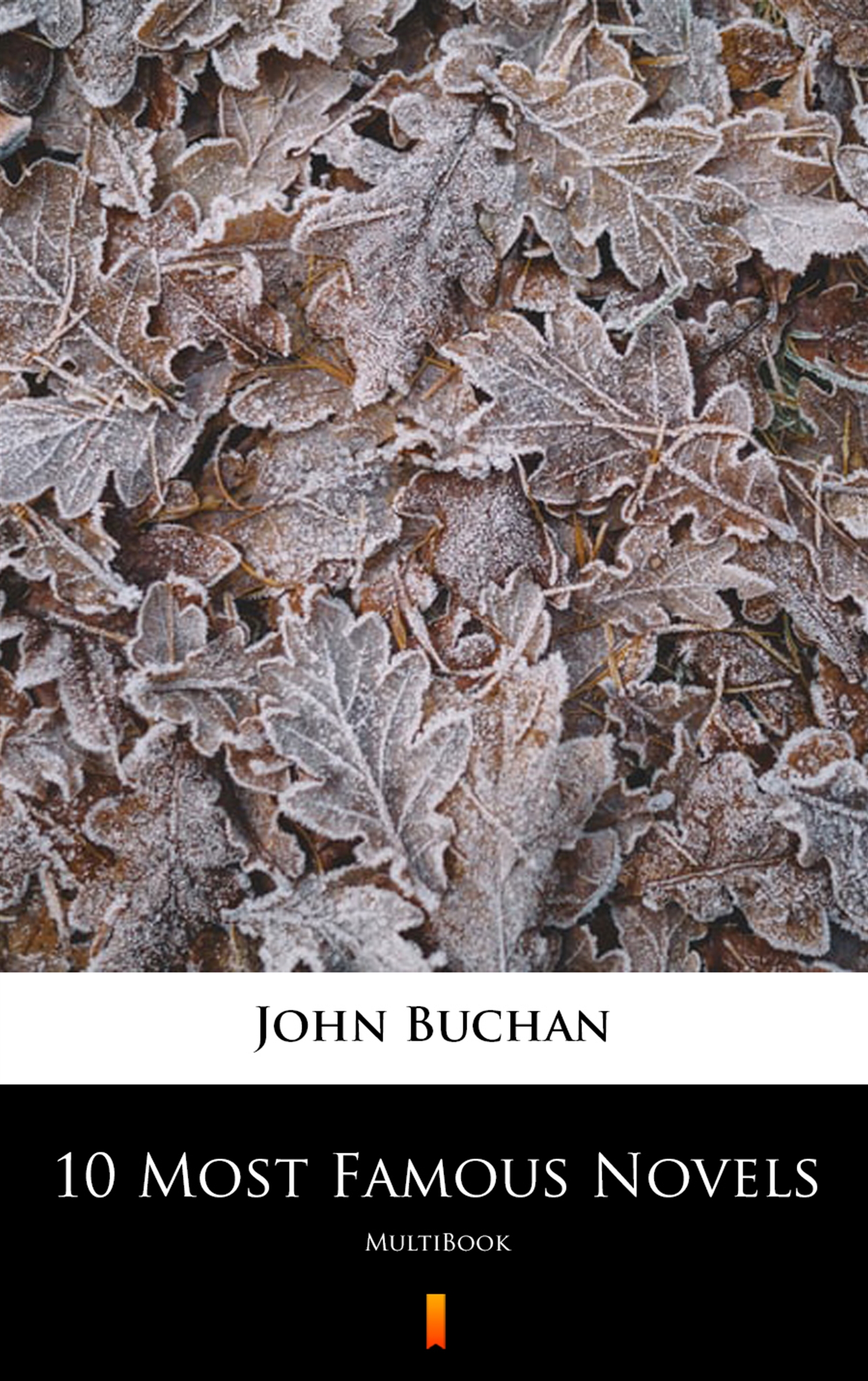 Tytuł: 10 Most Famous Novels. MultiBook
Autor: John Buchan
Wydawnictwo: KtoCzyta.pl
Formaty: EPUB, MOBI