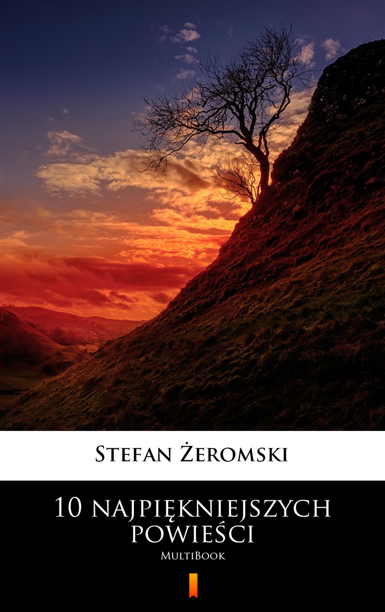 Tytuł: 10 najpiękniejszych powieści. MultiBook
Autor: Stefan Żeromski
Wydawnictwo: KtoCzyta.pl
Formaty: EPUB, MOBI