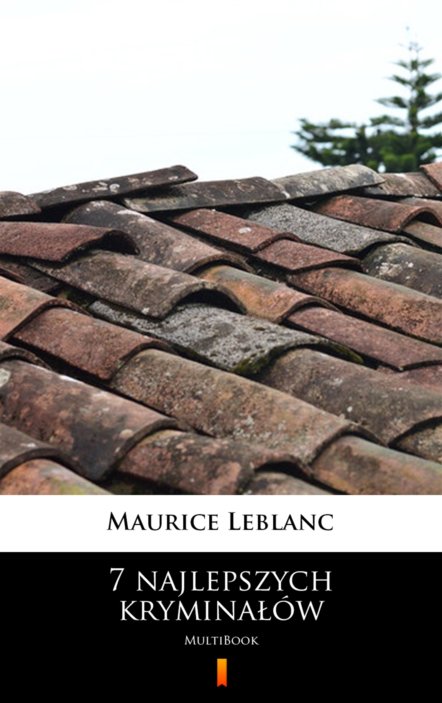Tytuł: 7 najlepszych kryminałów. MultiBook
Autor: Maurice Leblanc
Wydawnictwo: KtoCzyta.pl
Formaty: EPUB, MOBI