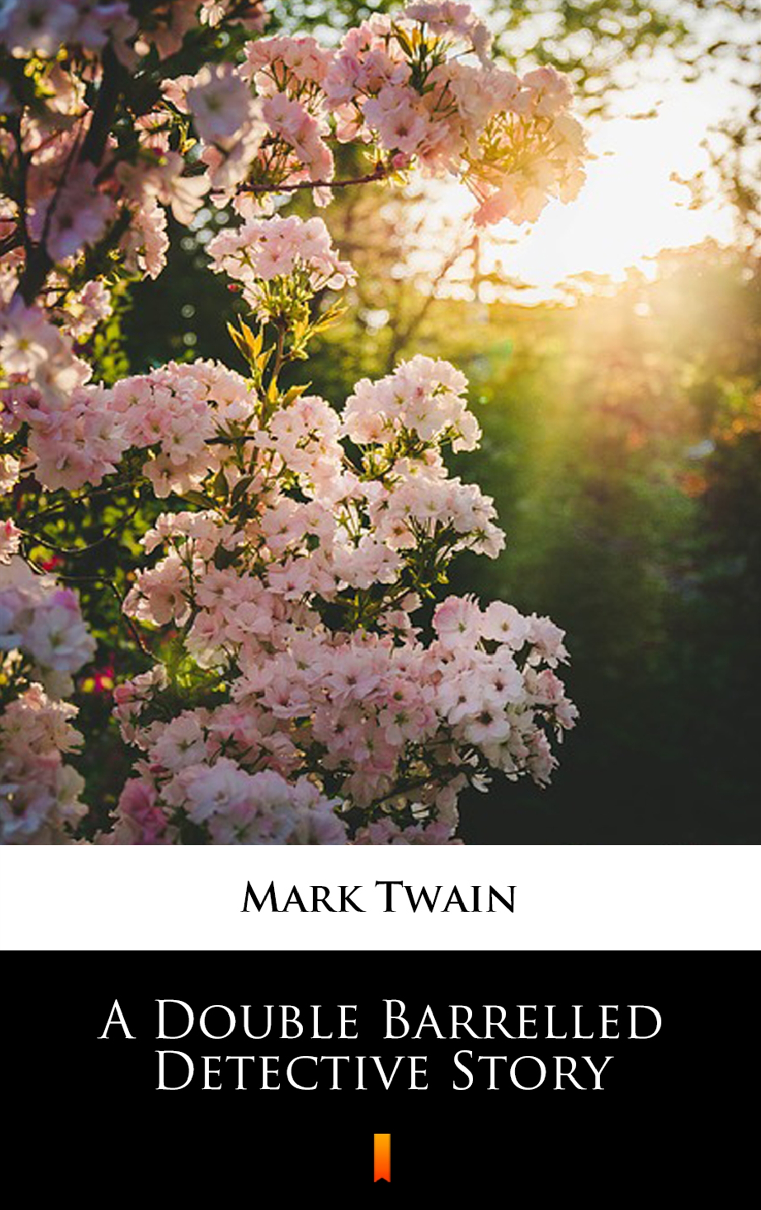 Tytuł: A Double Barrelled Detective Story
Autor: Mark Twain
Wydawnictwo: KtoCzyta.pl
Formaty: EPUB, MOBI