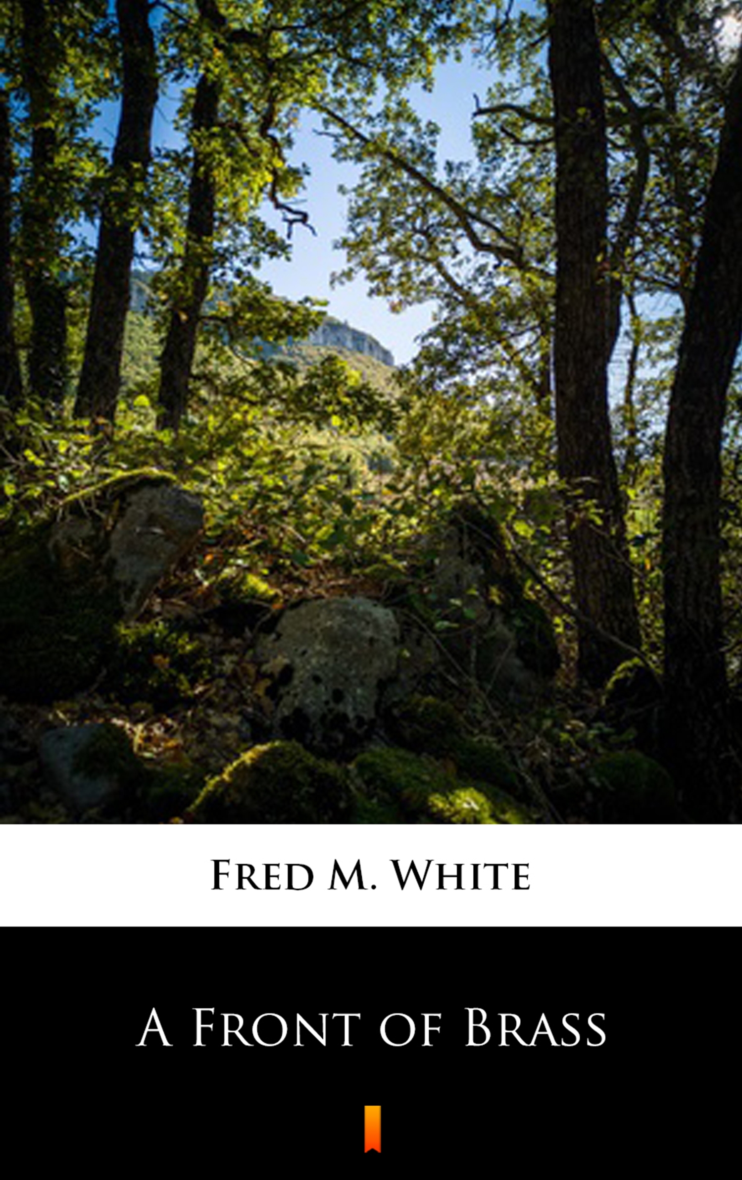 Tytuł: A Front of Brass
Autor: Fred M. White
Wydawnictwo: KtoCzyta.pl
Formaty: EPUB, MOBI