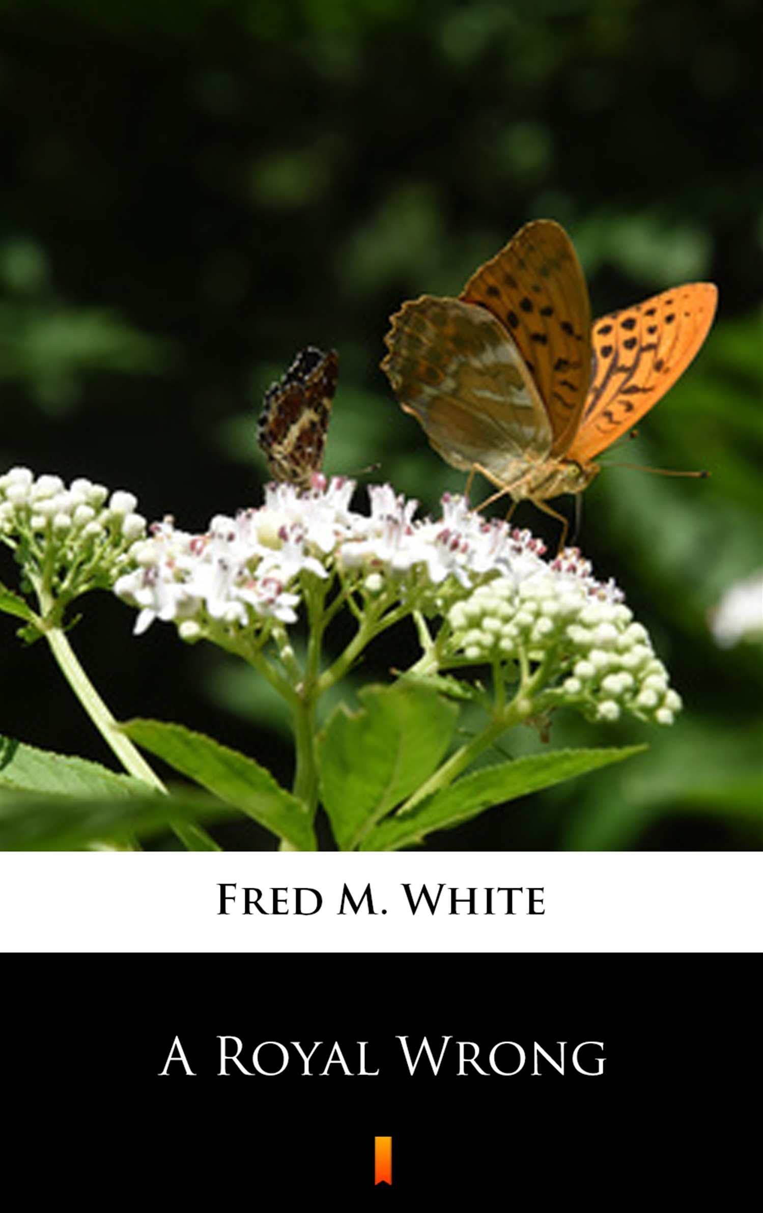 Tytuł: A Royal Wrong
Autor: Fred M. White
Wydawnictwo: KtoCzyta.pl
Formaty: EPUB, MOBI