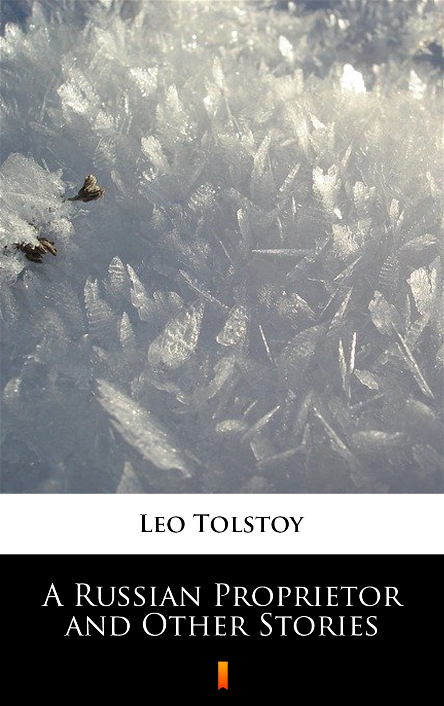 Tytuł: A Russian Proprietor and Other Stories
Autor: Leo Tolstoy
Wydawnictwo: KtoCzyta.pl
Formaty: EPUB, MOBI